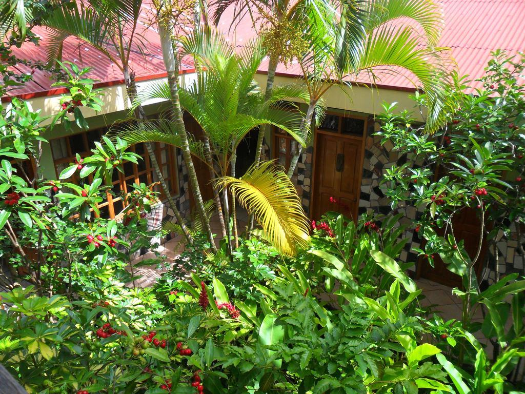 咖啡厅酒店 Jinotega 外观 照片